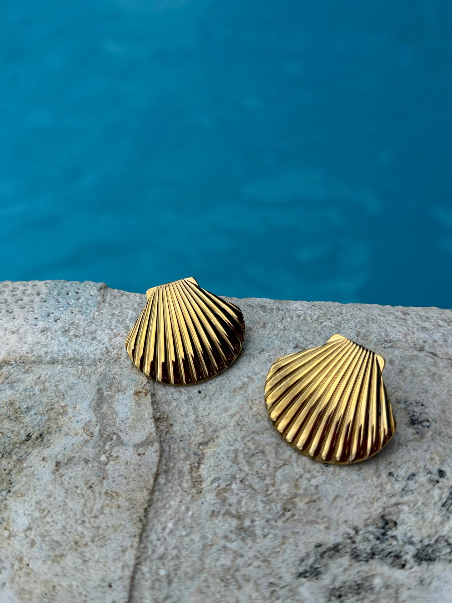 Shell earrings